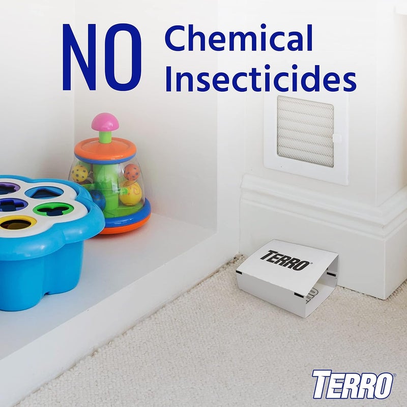Terro Spider & Insect Trap T3206-10 - Pack of 10 Insect Traps - Image 4